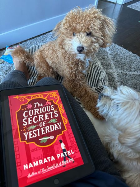 Finished reading my May book: The Curious secrets of Yesterday 

#LTKFindsUnder50