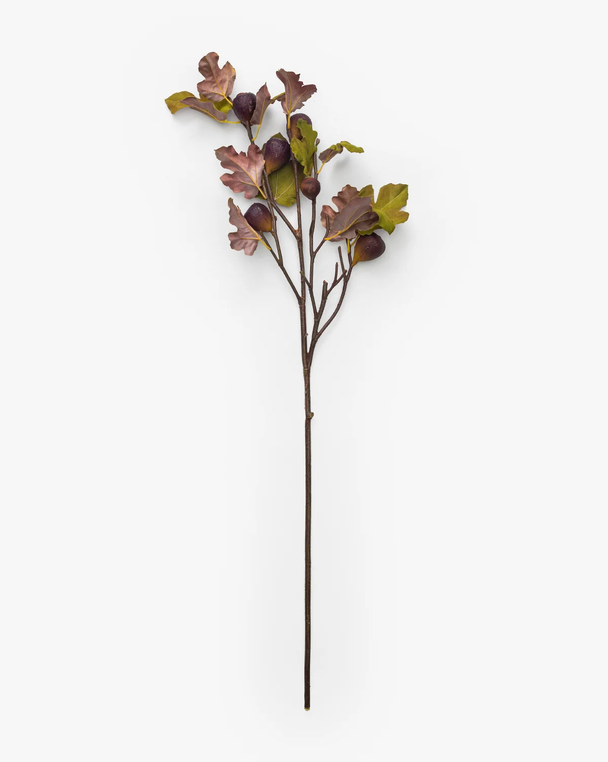 37" Fig Fruit Branch | McGee & Co. (US)