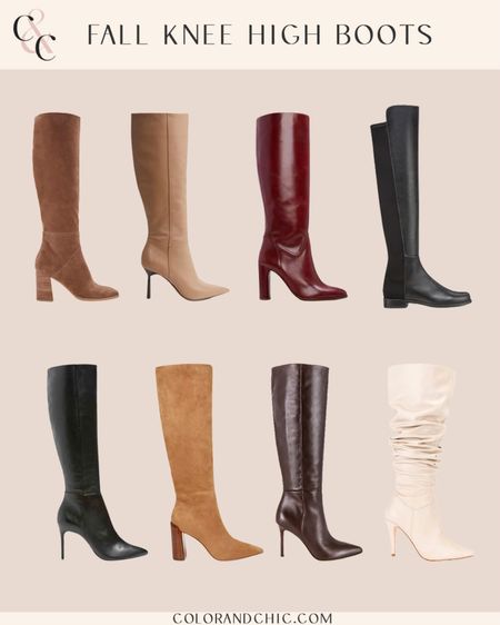 Fall knee high boots that are perfect for casual wear, workwear, date nights and more! Love the different textures and styles for this season  

#LTKstyletip #LTKshoecrush #LTKSeasonal