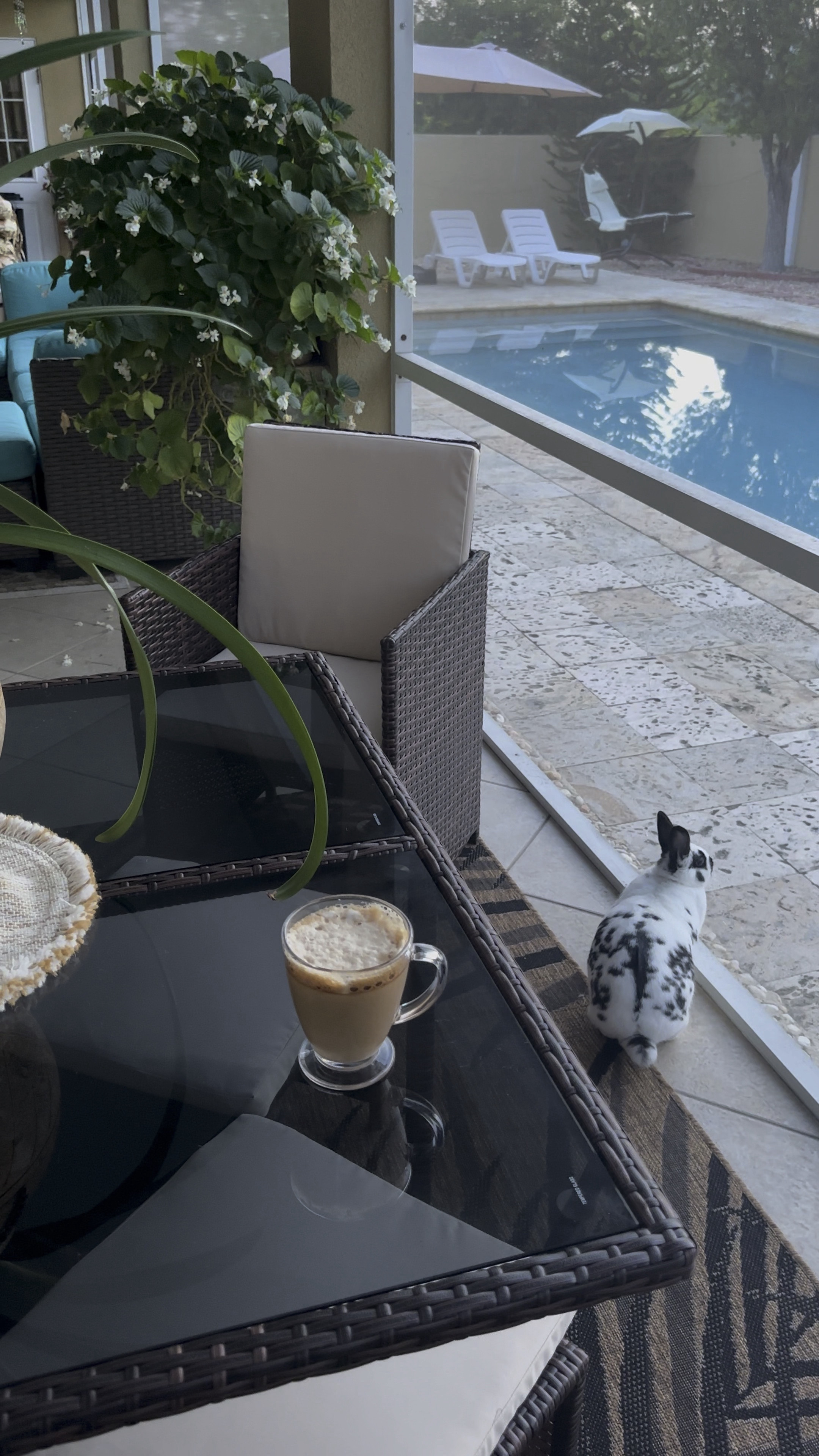 Patio furniture 
home decor / outdoor furniture / porch furniture / backyard dining / compact rattan dining table set / rattan outdoor sofa set / outdoor waterproof rugs / pool loungers / porch umbrellas / coastal style furniture / home design / home details / video / December competition 

#LTKVideo #LTKhome