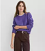 Seamed Raglan Sweater | LOFT