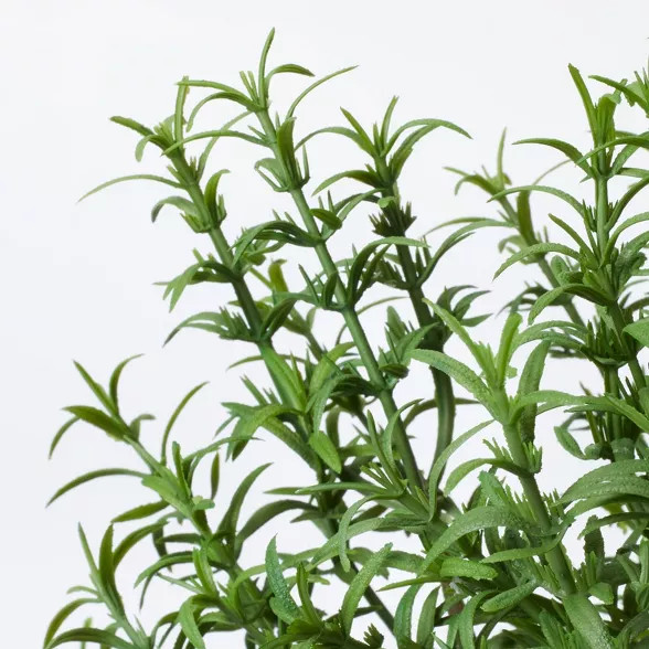 Rosemary Topiary - Threshold™ designed with Studio McGee | Target