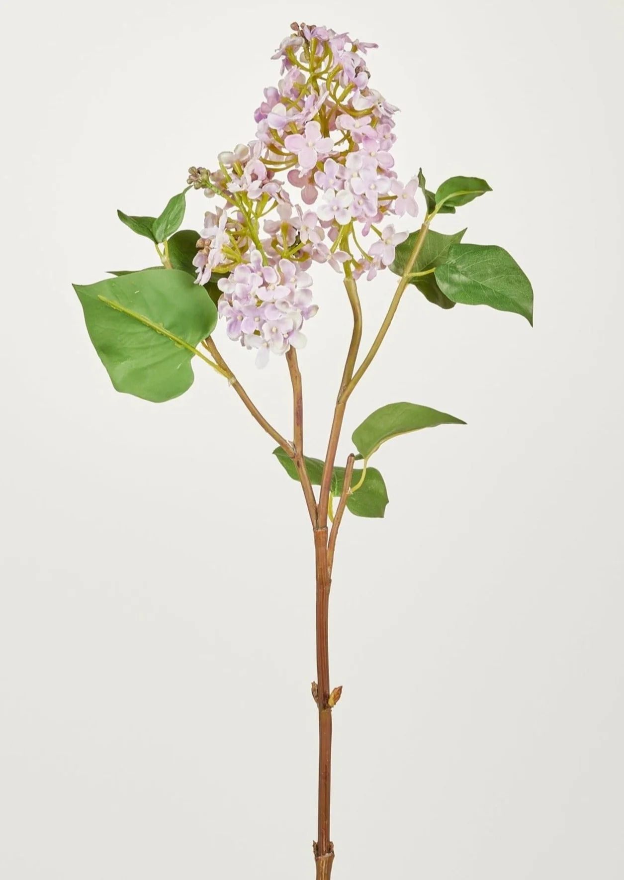 Pale Lavender Faux Lilac Branch - 30" | Afloral