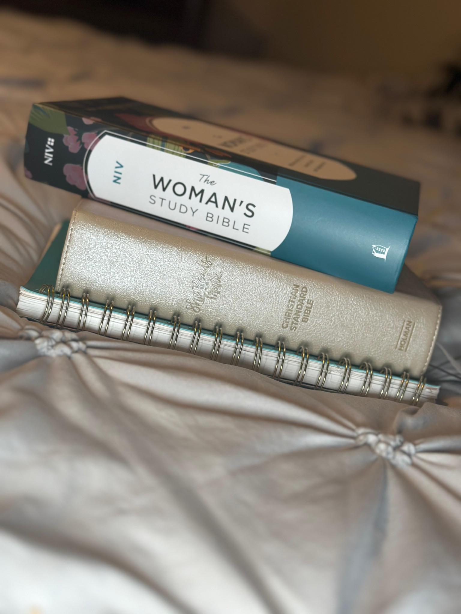 My favorite Bibles 🤍

#LTKFindsUnder50 #LTKGiftGuide #LTKFamily