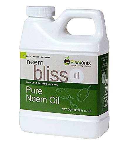 Organic Neem Bliss 100% Pure Cold Pressed Neem Seed Oil - (16 oz) High Azadirachtin Content - OMR... | Amazon (US)