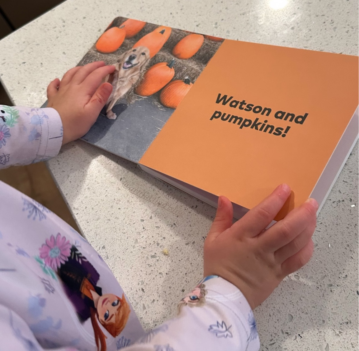 Made this book for Jensen after Watson died to help him remember him. Now Gemma is obsessed with it and learning all about our boy 🥺

These books are perfect for creating a board book about anything for your child. You can fully customize a book or that have templates like people, ABCs and more! 

#LTKGiftGuide #LTKKids #LTKFamily