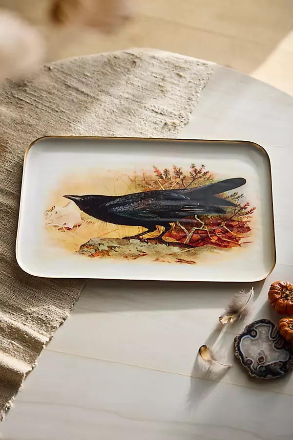 Printed Archival Tray, Large | Anthropologie (US)