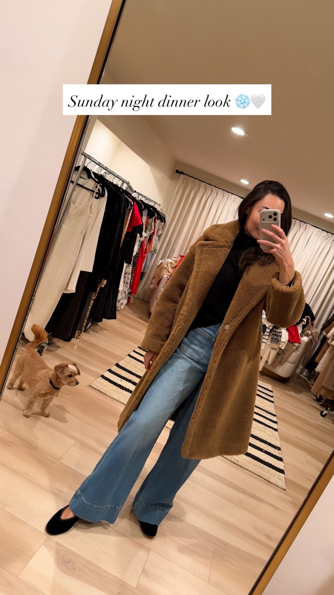 Wide leg jeans, Gerard Darel teddy coat old similar below, winter outfit, classic style, Kat Jamieson style. 

#LTKdayinmylife #LTKSeasonal #LTKootd