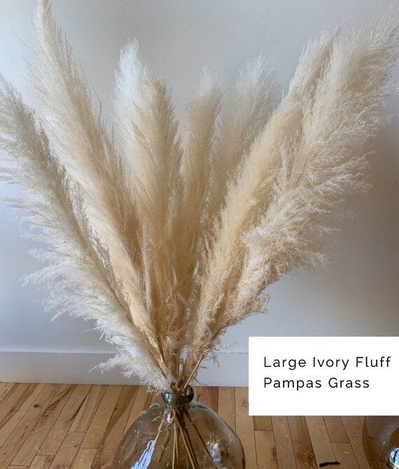 Large White Pampas Grass 45 inches tall  Pampas Grass Decor  | Etsy | Etsy (US)
