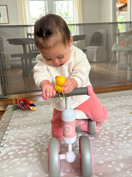 the perfect bike for little ones learning to walk! 

#LTKfamily #LTKbaby #LTKkids