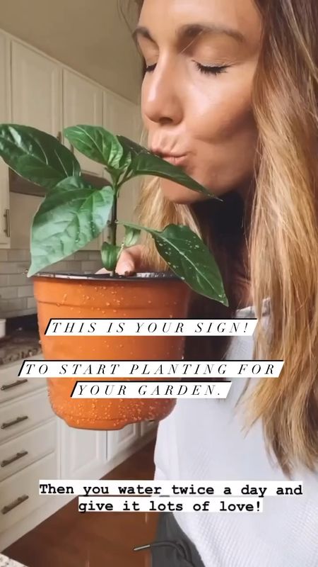 If you have trouble growing from seed, I highly suggest a hydroponic garden to jump start your plant babies!  Easy to use and grew the hardiest plants for our backyard garden! 

#LTKhome #LTKVideo #LTKfamily