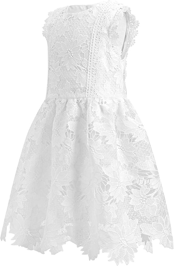 ALLOVIN Toddler Girl's Sleeveless A-Line Lace Party Dress Flower Girl Princess Dress with Beaded ... | Amazon (US)