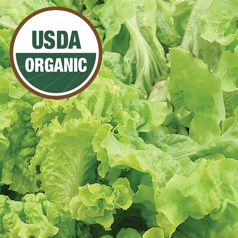 Ferry-Morse Organic 575MG Lettuce Black Seeded Simpson Vegetable Plant Seeds Full Sun | Walmart (US)