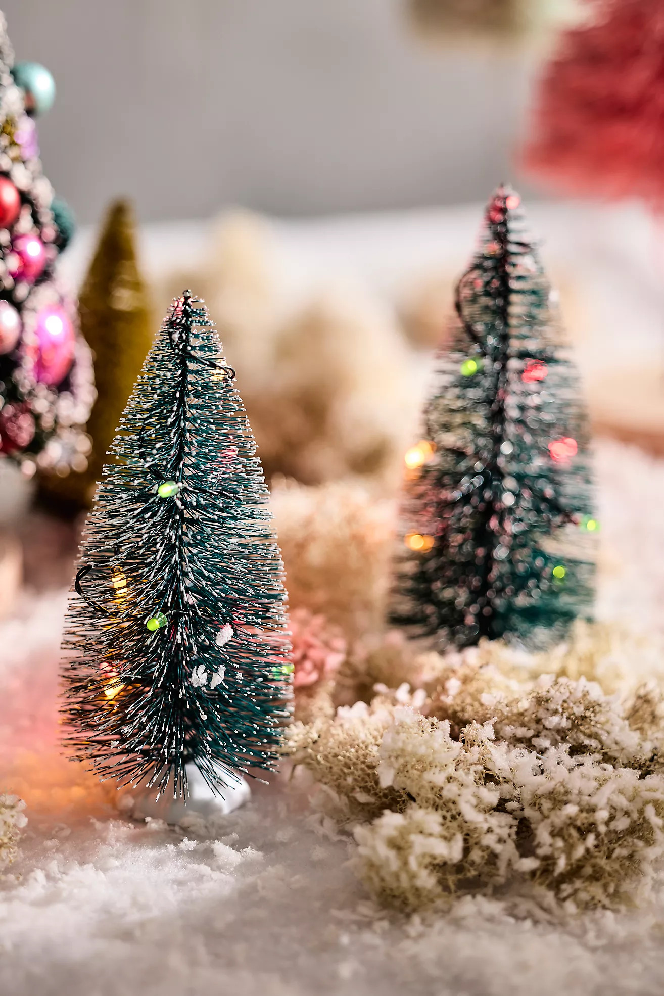 Illuminated Brush Trees, Set of 2 | Anthropologie (US)