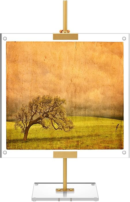 RattanView Gold Adjustable Metal Easel Stand with Acrylic Floating Photo Frame 16.5" Tabletop Met... | Amazon (US)