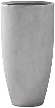 Kante 23.6" H Natural Concrete Finish Concrete Tall Planters Large Outdoor Indoor Decorative Plan... | Amazon (US)