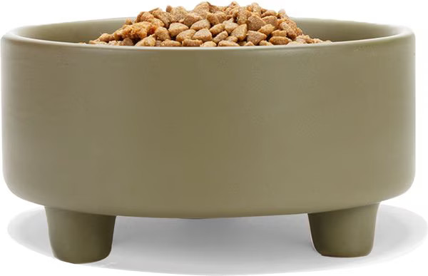Waggo Uplift Elevated Ceramic Cat & Dog Bowl | Chewy.com