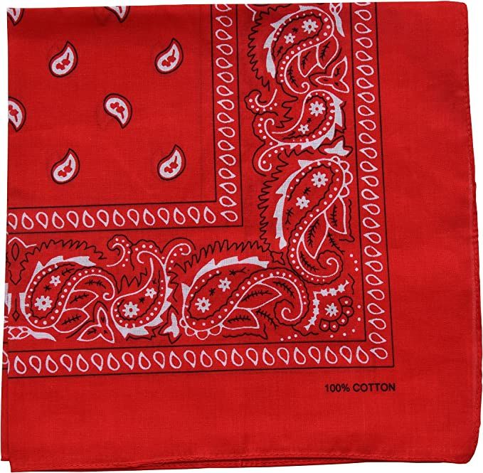 One Piece Novelty Bandanas Paisley Cotton Bandanas | Amazon (US)