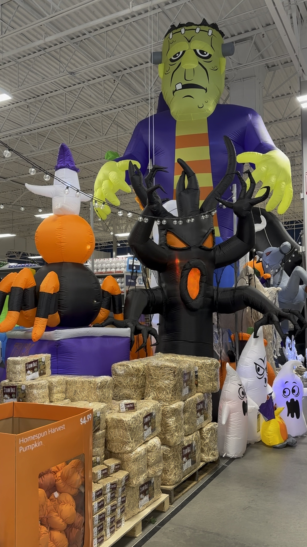 The Halloween decor is out @athome stores! 

#LTKHome #LTKSeasonal