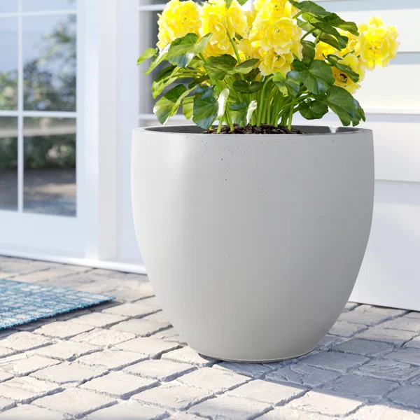 Acushnet Pot Planter | Wayfair North America