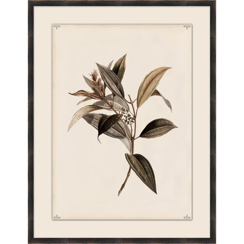 Botanical Study IV
$475.00
 | One Kings Lane