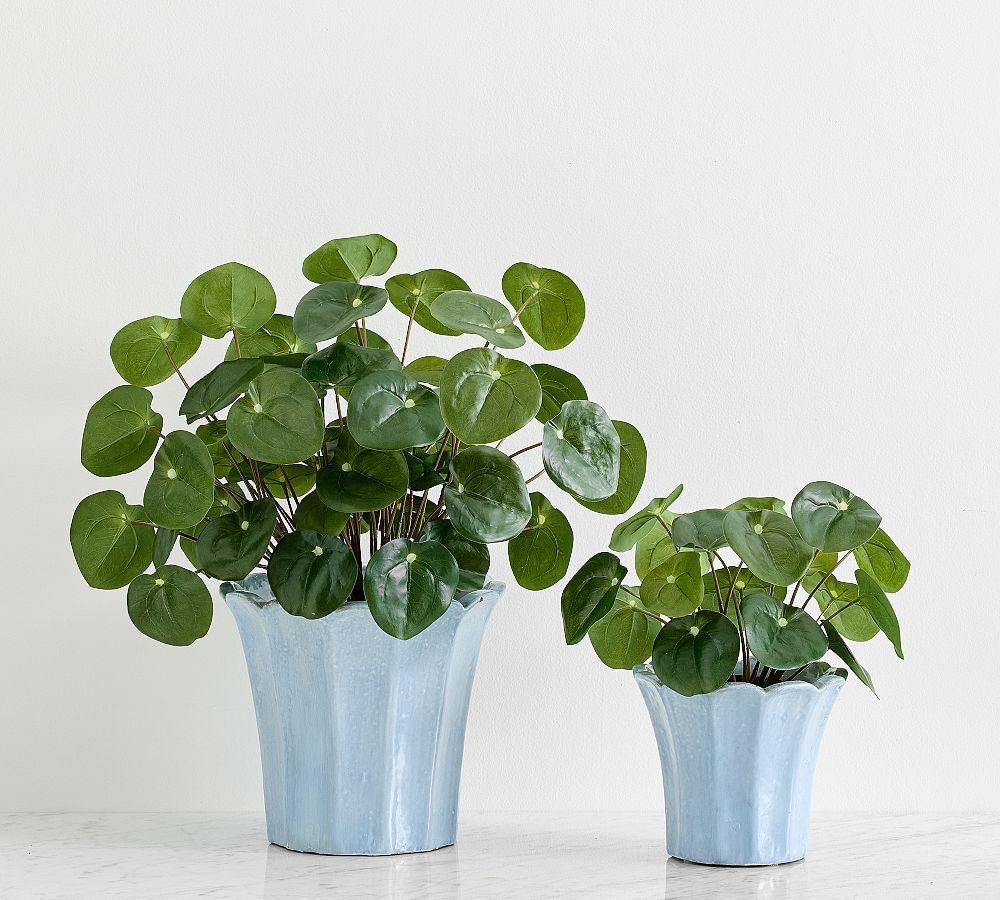 Faux Elephant Ear Plant | Pottery Barn (US)