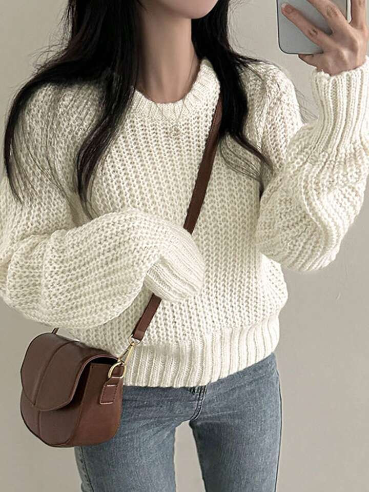 DAZY Women's Solid Color Long Sleeve Crew Neck Chunky Knit Sweater, Casual Daily Wear | SHEIN USA | SHEIN