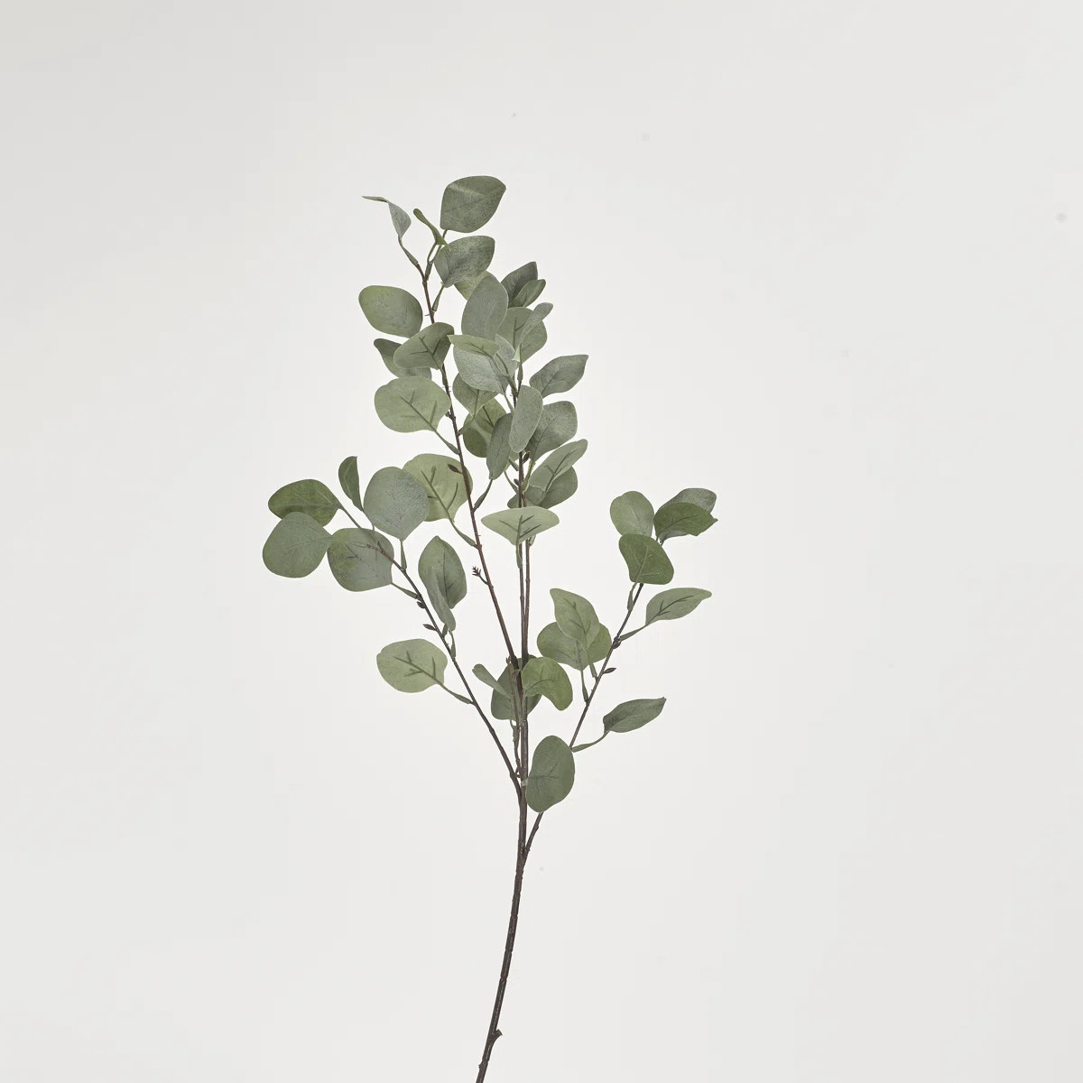 36'' Faux Silver Dollar Eucalyptus Branch (Set of 3) | Wayfair North America