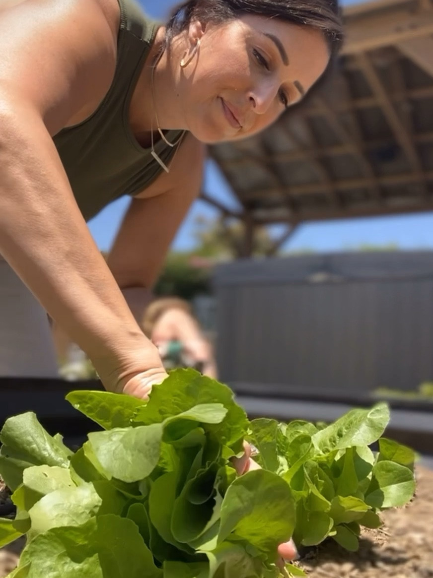 Obsessed with these kuhn rikon shears. 