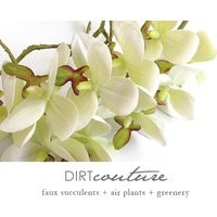 Orchid, Premium Faux Orchid Flower, Silk Orchid, Tropical Plant, Artificial Phalaenopsis, White | Etsy (US)