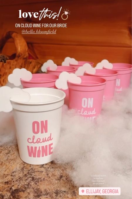 On Cloud WINE Bachelorette Party details!! 🤍💍 All from Amazon and Etsy!

#LTKfindsunder50 #LTKparties #LTKwedding