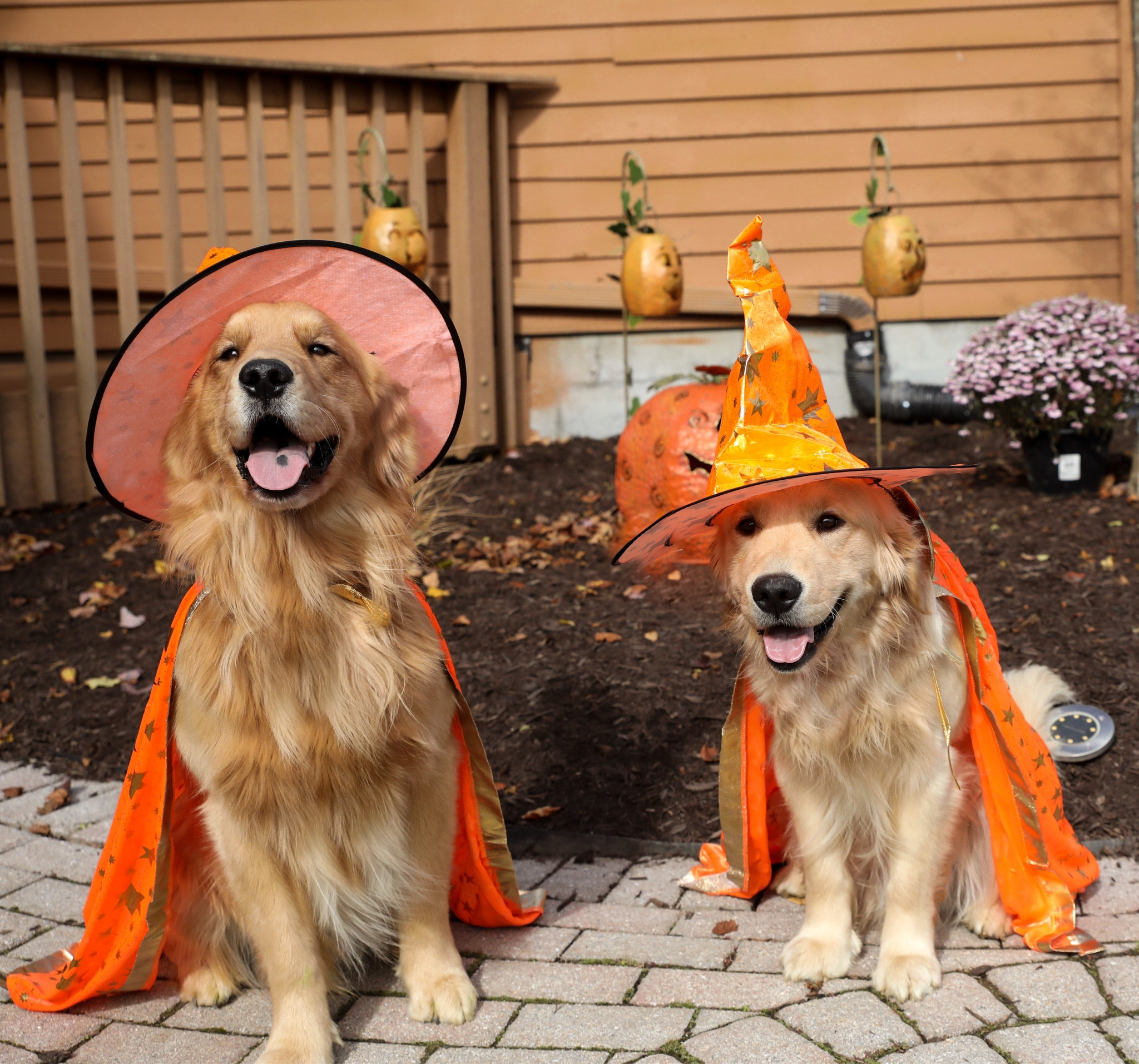 These adorable witch costumes!🧹

#LTKHalloween #LTKHoliday #LTKSeasonal