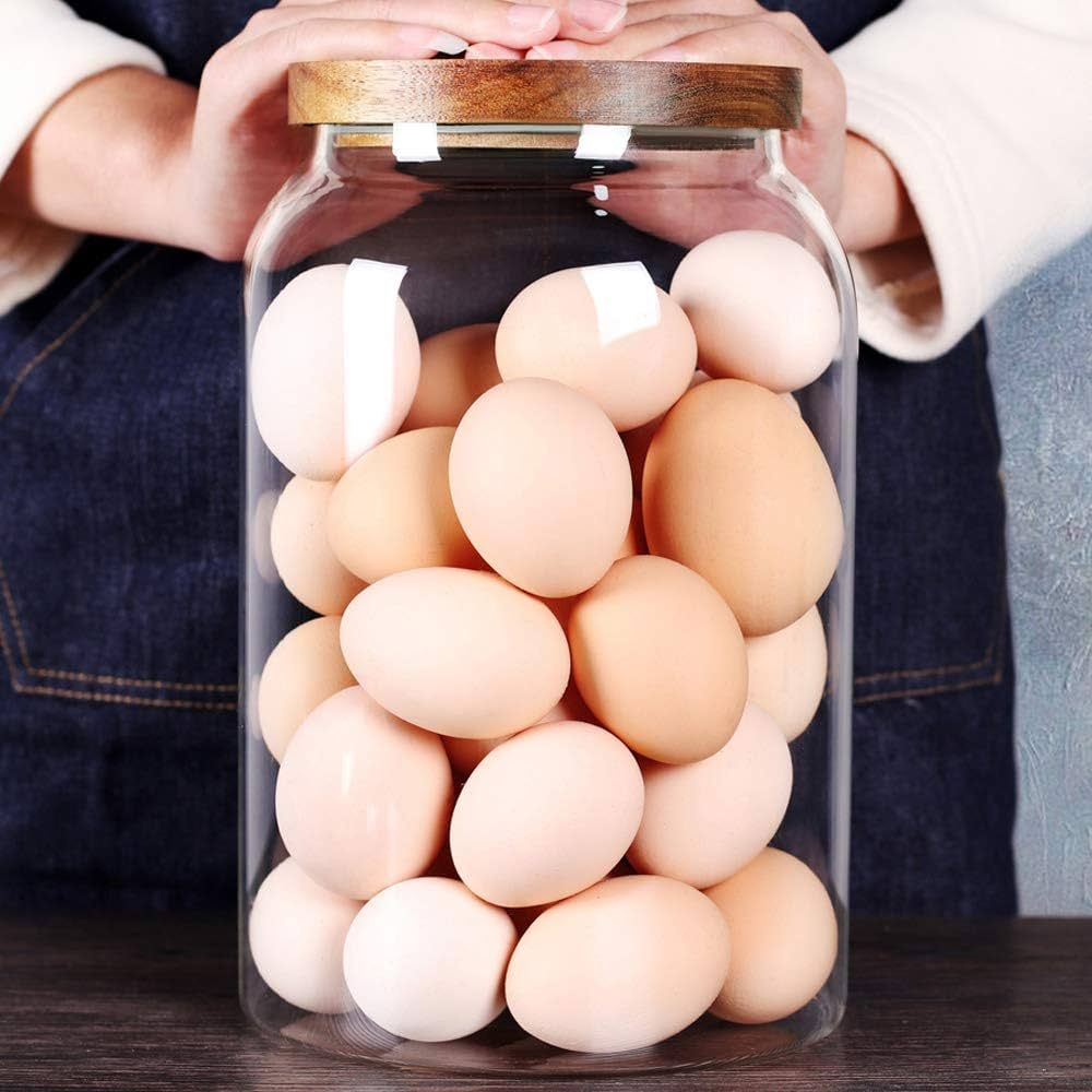 SAIOOL Egg Jar,kitchen canister， 1 Gallon Large Glass Food Storage Jars with Airtight Lid, Clea... | Amazon (US)
