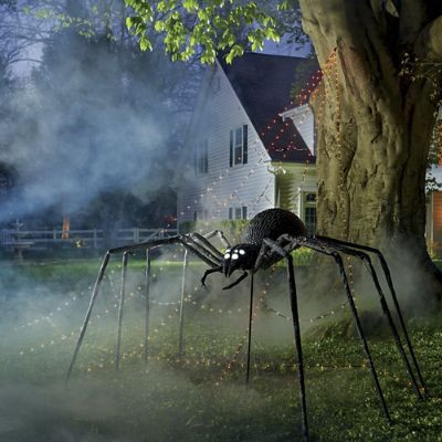 Shrieking Yard Spider | Grandin Road