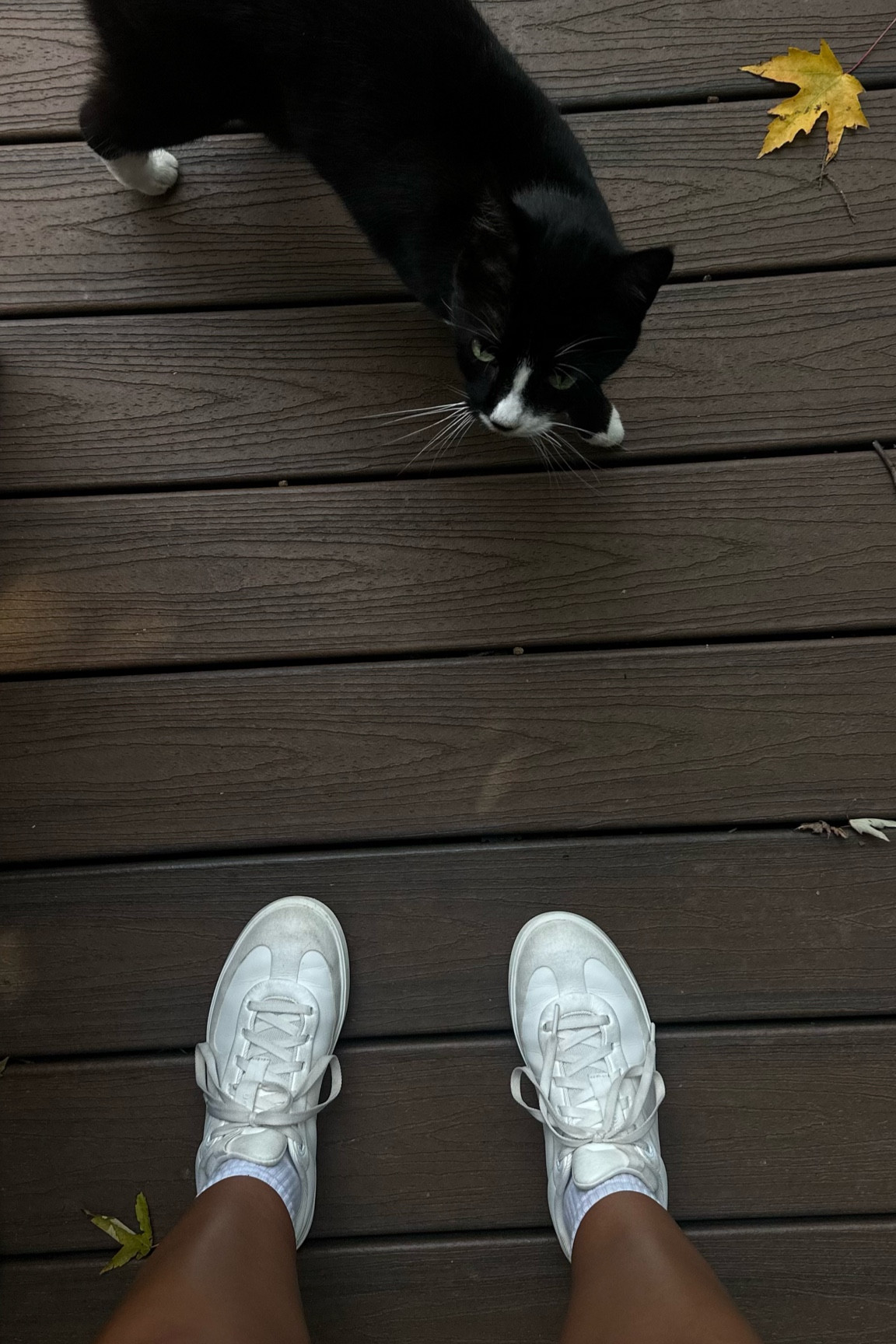 BEST SHOES EVER >>>
- so comfy 
- I can walk allll day in these 
- sz 7.5

#LTKU #LTKActive #LTKStyleTip