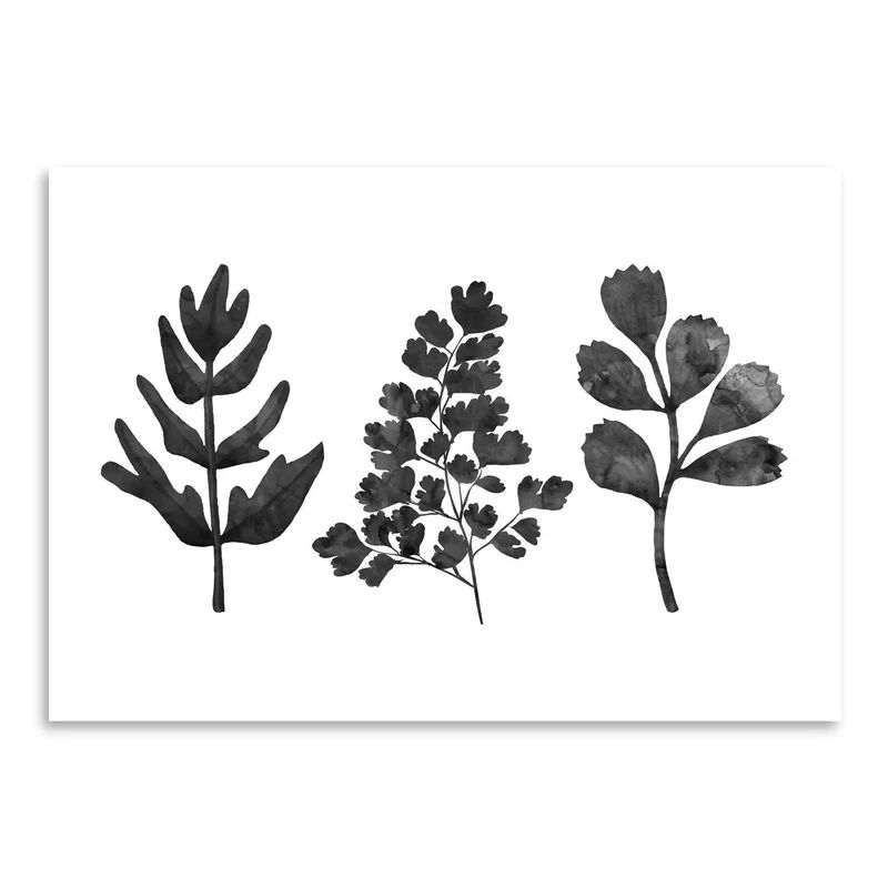 'Gray Ferns' - Graphic Art Print | Wayfair North America