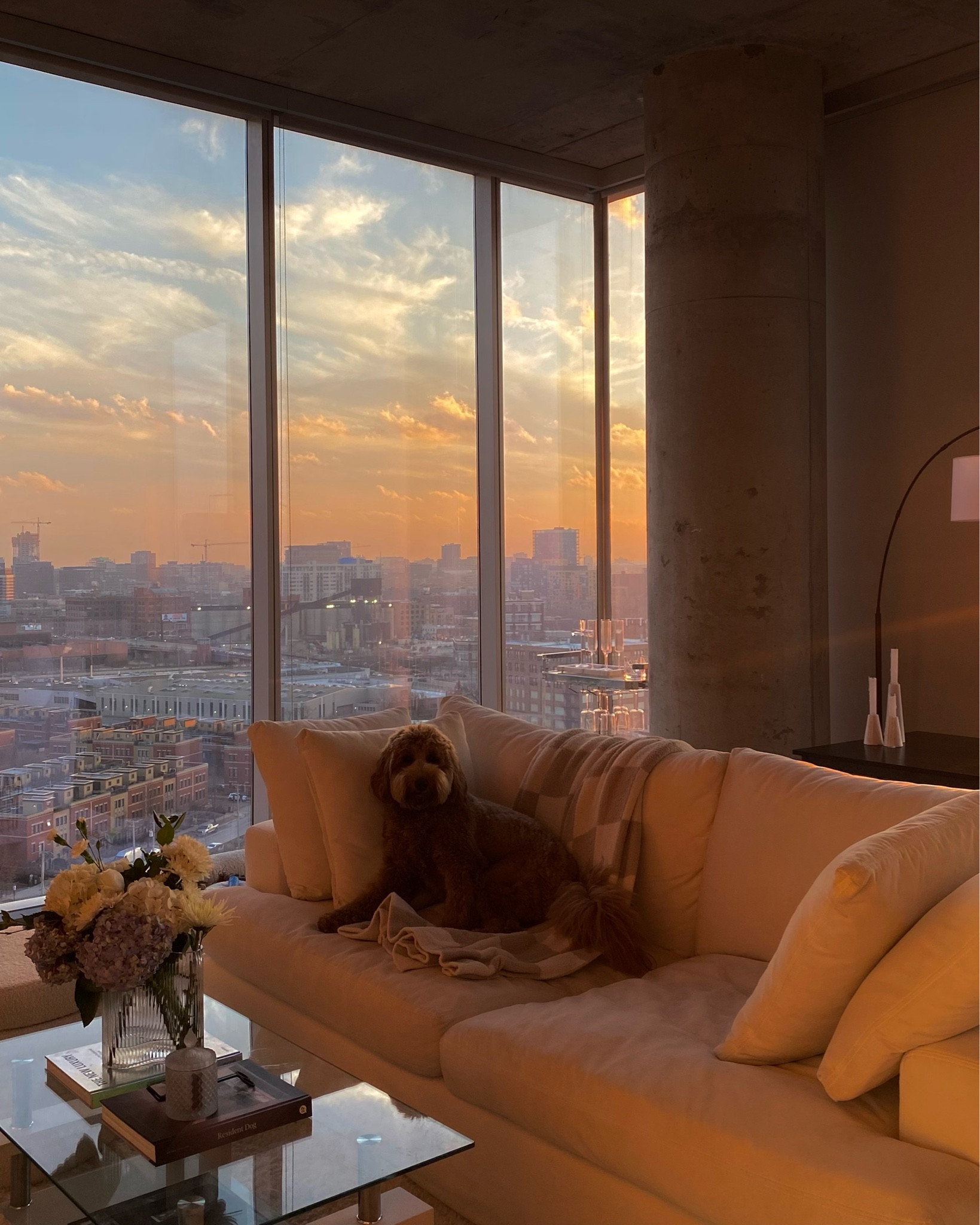 My favorite apartment/home decor 

#LTKhome