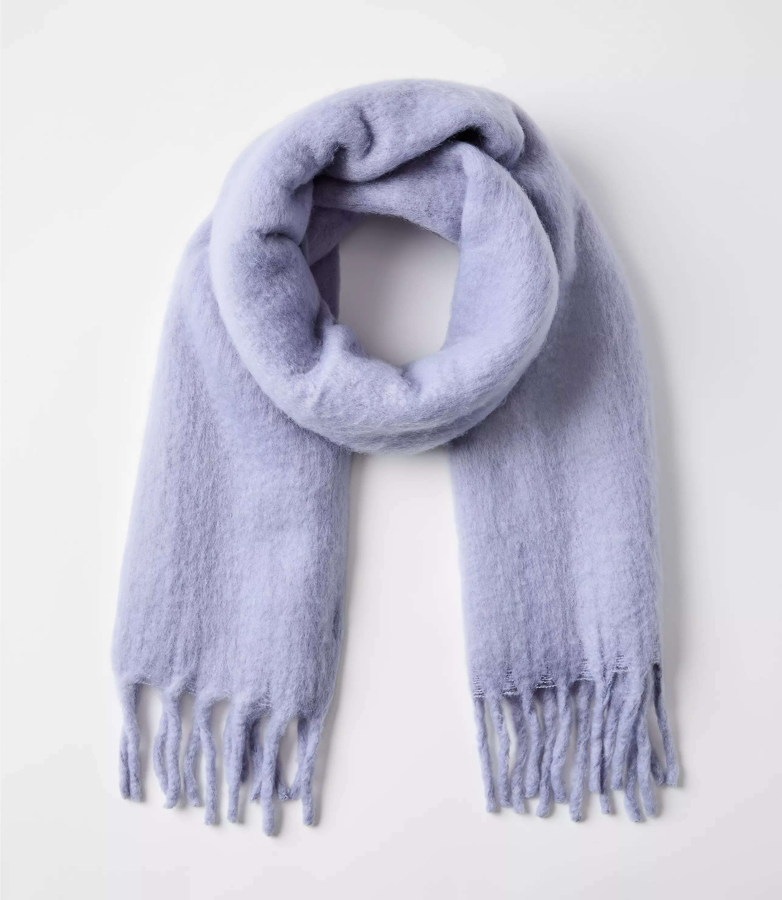 Blanket Scarf | LOFT