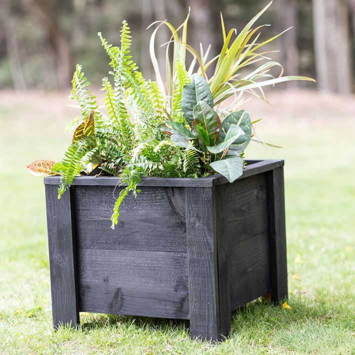 The McGarvey Workshop Cedar Planter | West Elm (US)