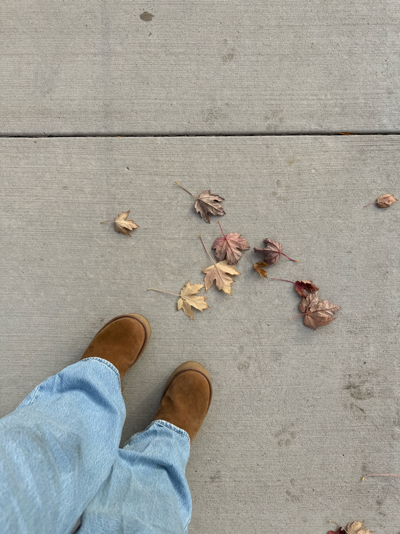 Uggs: 8 
jeans: 34/18 
🤎🍂🍁

#LTKSeasonal #LTKHoliday #LTKPlusSize