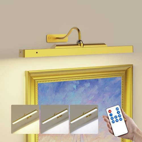 Lights for Pictures on Wall, 16in Battery Operated Picture Lights for Paintings, 5000mAh Wall Lig... | Amazon (US)