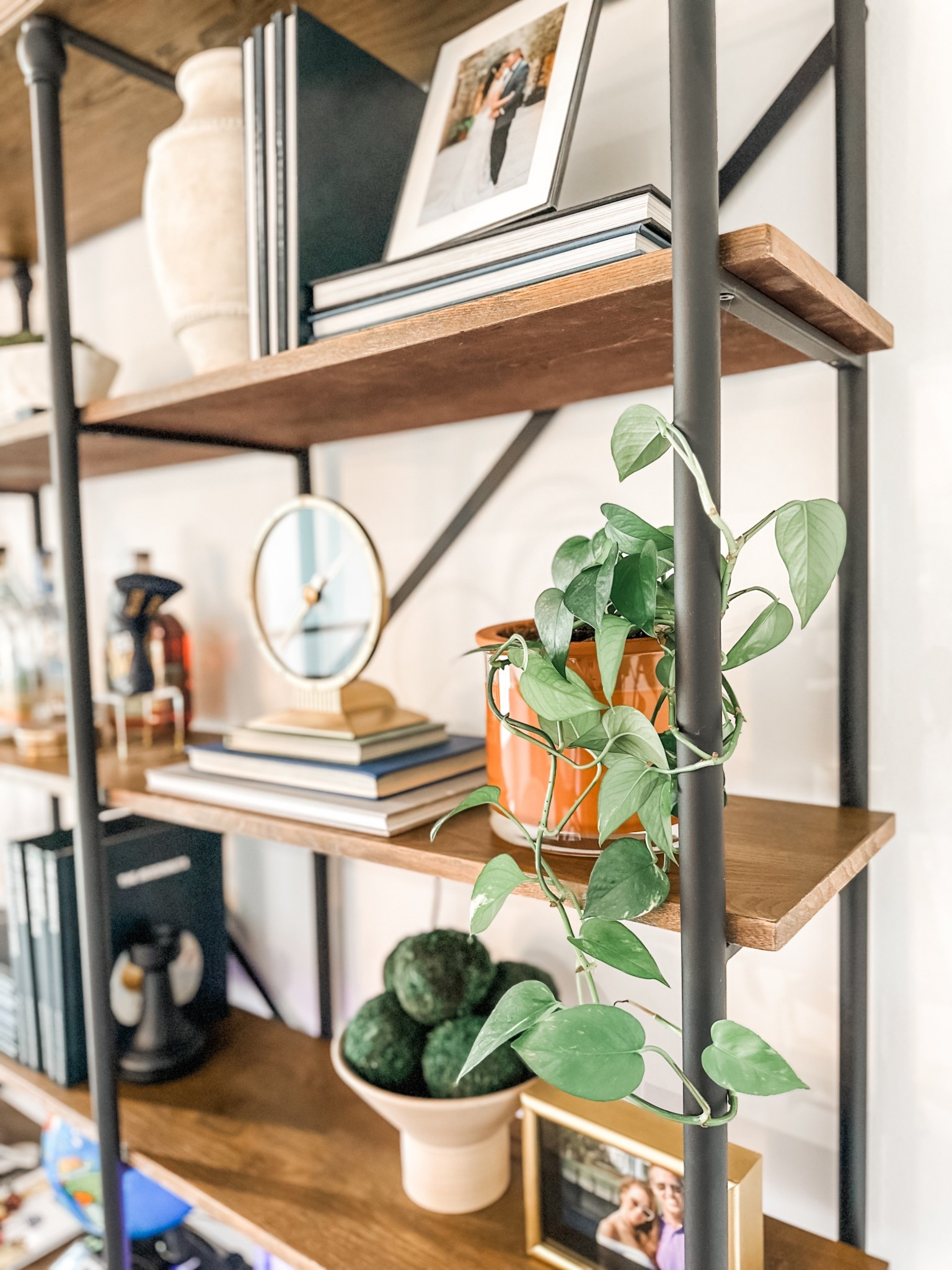 Self watering planter • terracotta planter• indoor planter • shelf styling • shelf decor • bookshelf decor • my teddy bear

#LTKSaleAlert #LTKHome