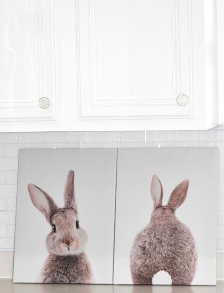 Cutest bunny pictures for Easter! They add a subtle touch to any space. I’ve tried them out in my kitchen and bookshelves.
Affordable too! The set is under $40.


#LTKfindsunder50 #LTKSeasonal #LTKhome