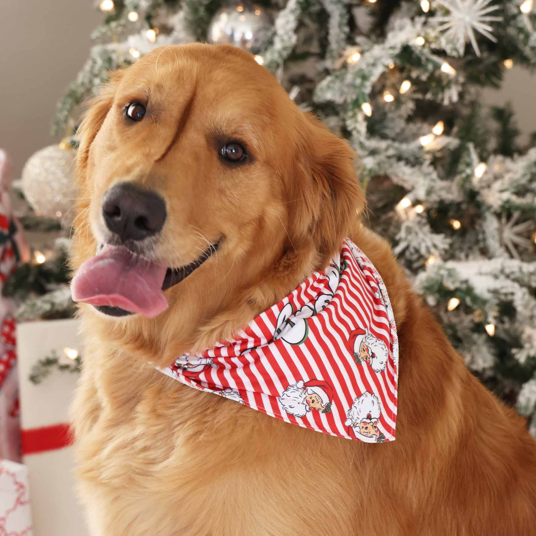Santa Claus Lane Personalized Pet Bandana | Caden Lane