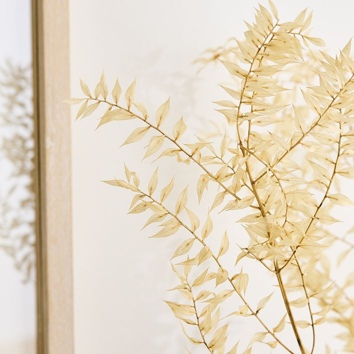 Dried Ivory Ruscus Branch | West Elm (US)