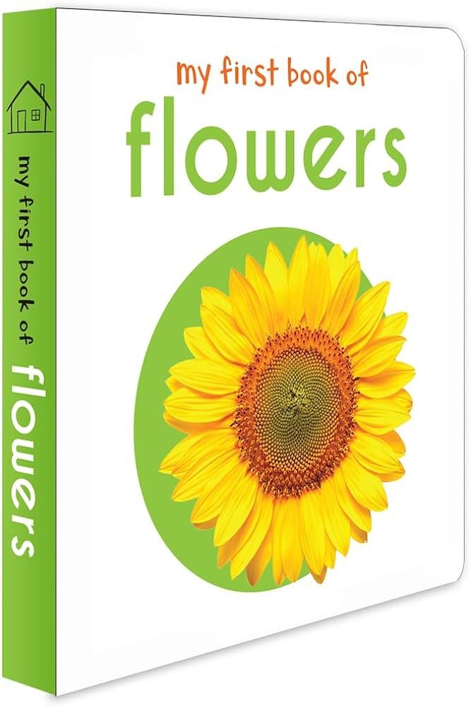 My First Book of Flowers | Amazon (US)