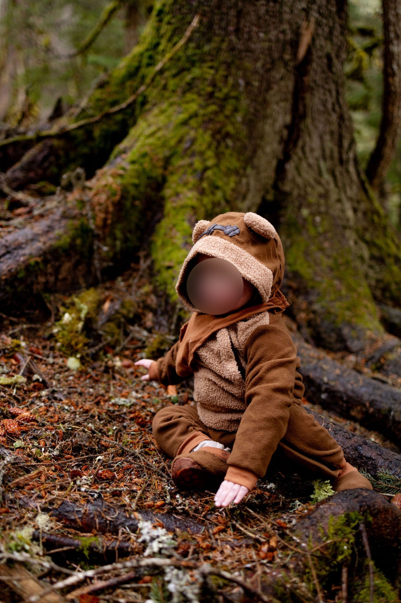 Family photoshoot | family photos | Family photoshoot ideas | Family outfits | Family cosplays | Star Wars family outfits | Star Wars family photoshoot | Star Wars | Princess Leia on Endor inspired outfit | Han Solo on Endor inspired outfit | Chewbacca on Endor inspired outfit | Princess Leia | Princess Leia cosplay | Princess Leia costume | Princess Leia Endor | Han Solo | Han Solo cosplay | Han Solo costume | Han Solo Endor Star Wars inspired outfit | Chewbacca | Chewbacca cosplay | Chewbacca costume | Chewbacca Endor Disney inspired outfit | Star Wars | Lightsaber | Nerd | Fangirl | Disney bound | Disney | Star Wars girl | Star Wars cosplay | Star Wars costume | Toddler costume | 

#LTKBaby #LTKFindsUnder50 #LTKFindsUnder100