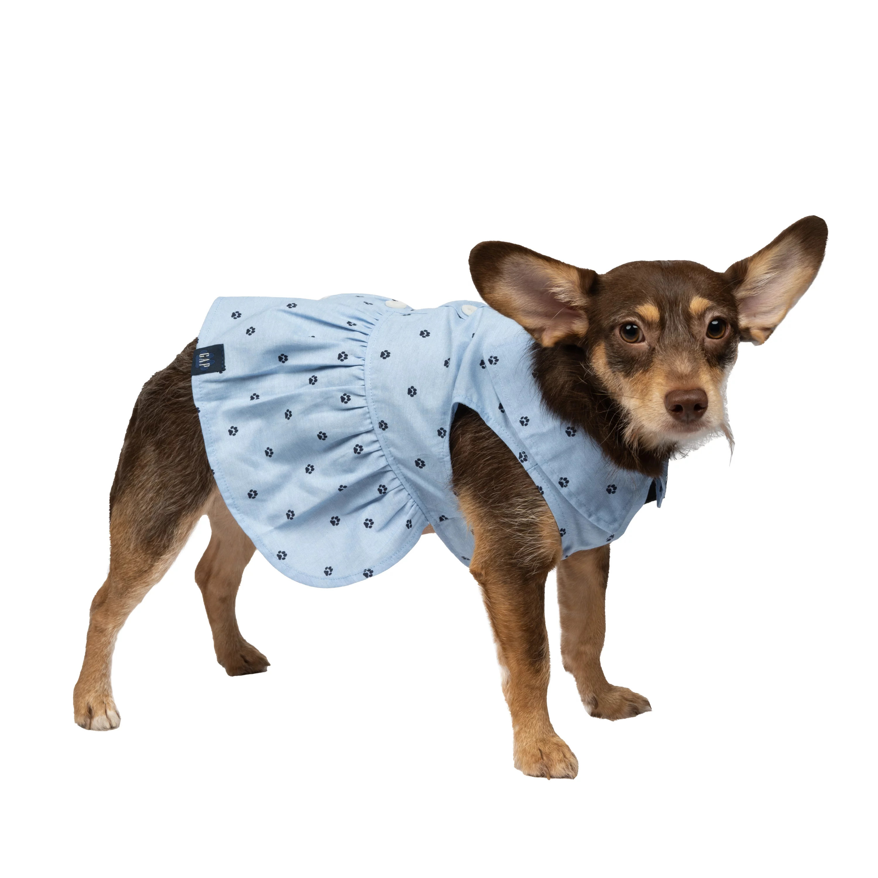 Gap Pet, Dog and Cat Clothes, Chambray Paw Print Gap Dog Dress, Blue, S | Walmart (US)