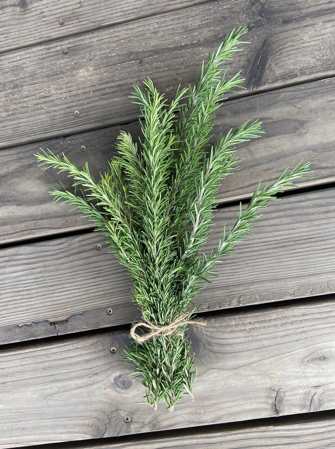 Fresh or Dried Rosemary Bundles Grown on Our Lodi California - Etsy | Etsy (US)