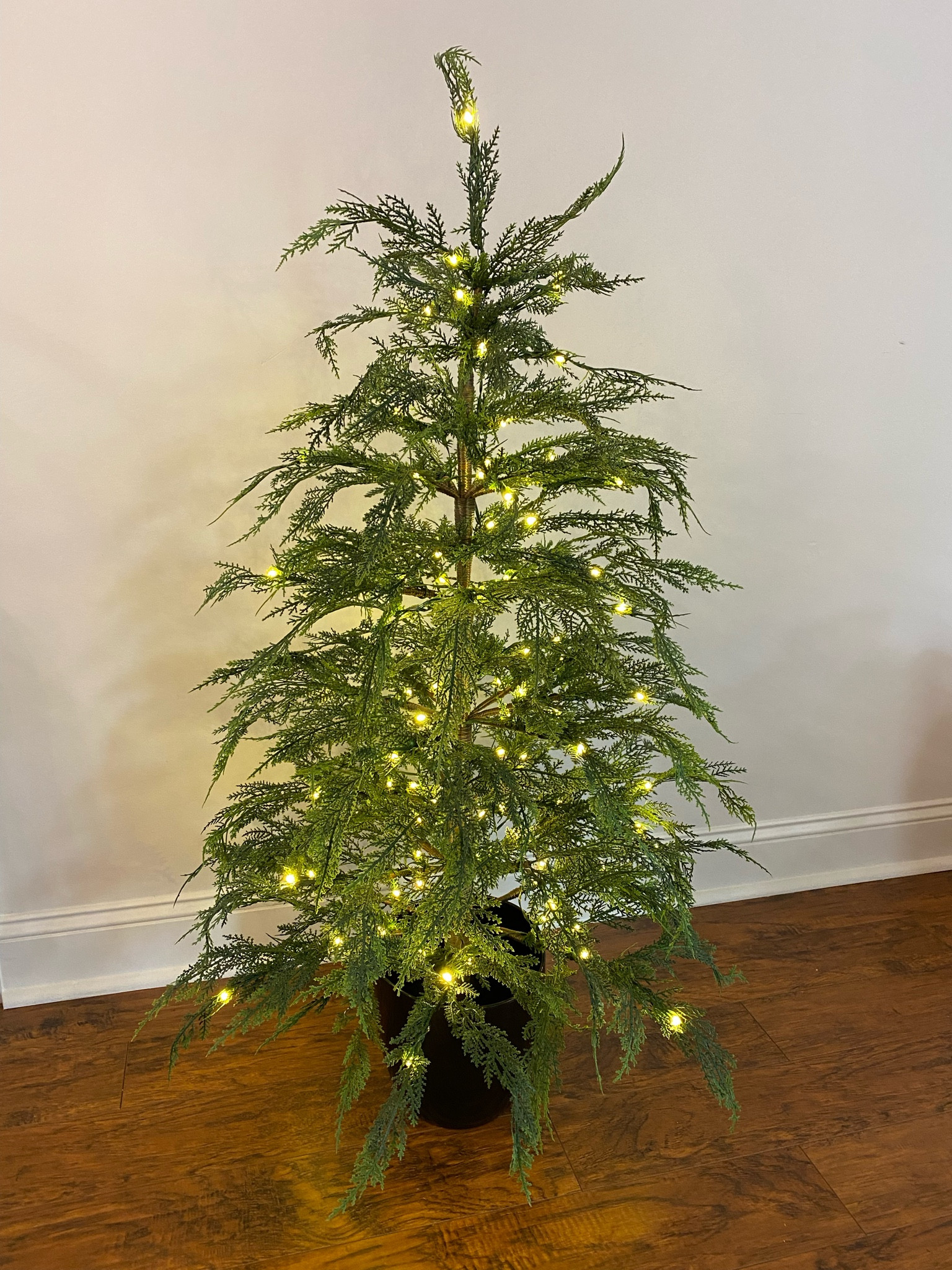 Amazing Walmart tree

#LTKSeasonal #LTKHoliday #LTKhome